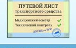 Можно ли путевой лист оформить на месяц