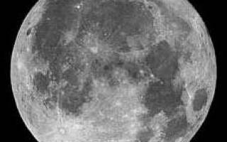 Можно ли садить 29 мая 2018