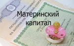 Можно ли взять машину на материнский капитал