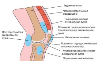 Можно ли делать артроскопию