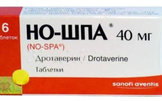 Можно ли давать ношпу собаке