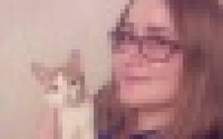 Можно ли еще задать вопрос путину 2018