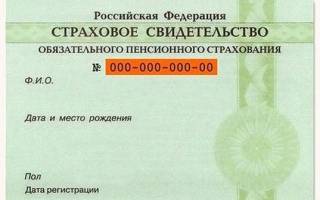 Можно ли поменять снилс через госуслуги
