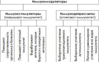 Можно ли принимать иммуностимуляторы