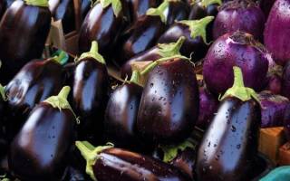 Можно ли беременным консервировать