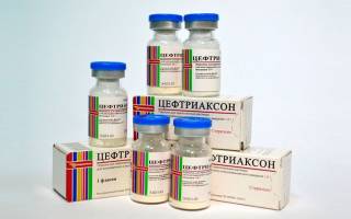 Цефтриаксон можно ли собакам