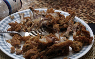 Можно ли давать собаке куриные кости
