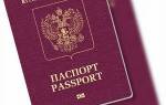 Можно ли получить гражданство рф без загранпаспорта