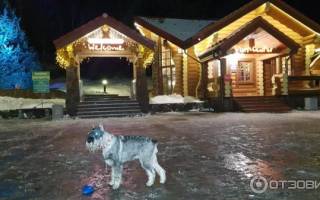 Можно ли в рускеалу с собакой