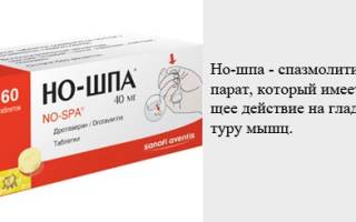 Можно ли беременным ношпу