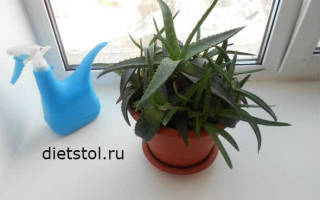 Можно ли вылечить хронический тонзиллит