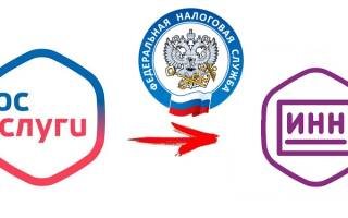Можно ли оформить инн через госуслуги
