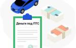 Можно ли в такси с собакой