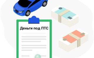 Можно ли в такси с собакой