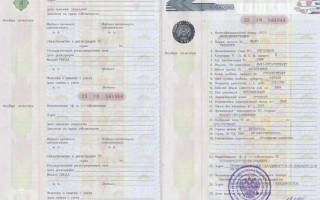 Можно ли купить машину без птс