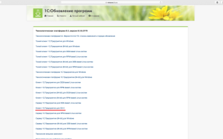 Можно ли установить 1с на макбук
