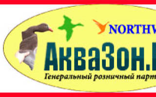 Можно ли выгуливать собаку в лесу