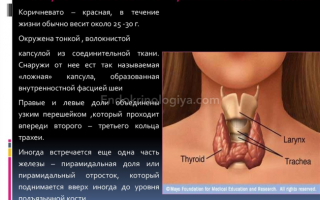 Можно ли удалить щитовидную железу полностью