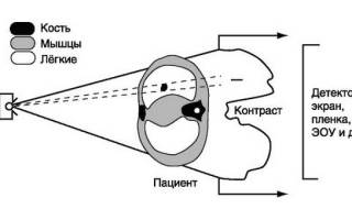 Можно ли делать