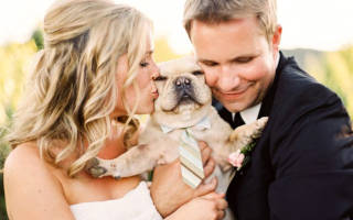 Можно ли жениться в 2018 году приметы