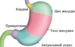 Можно ли вылечить пангастрит омезом