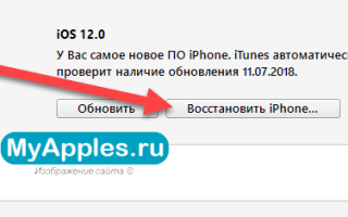 Можно ли установить старую версию ios