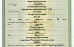 Можно ли вписать ребенка в загранпаспорт