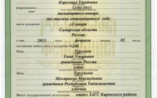 Можно ли вписать ребенка в загранпаспорт