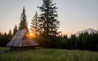 Можно ли приватизировать землю в 2018 году