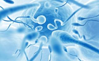 Можно ли сдать сперму на сохранение