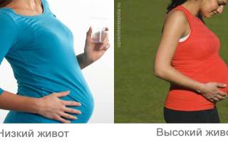 Можно ли по животу определить пол ребенка