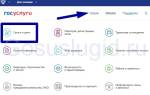 Можно ли оформить снилс через госуслуги