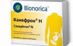 Можно ли пить канефрон при беременности