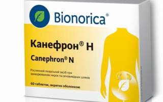 Можно ли пить канефрон при беременности