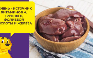 Можно ли собаке мозги говяжьи