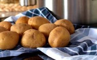 Можно ли собакам картошку