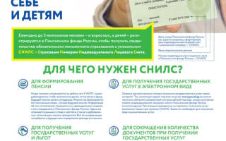 Можно ли узнать снилс