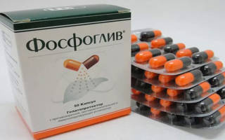 Можно ли принимать фосфоглив с алкоголем