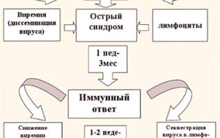 Можно ли вылечить спид на ранней стадии