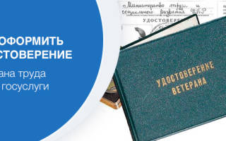 Можно ли оформить ветерана труда в мфц