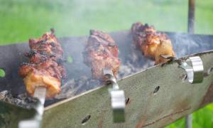 Борисовские пруды можно ли жарить шашлыки 2018