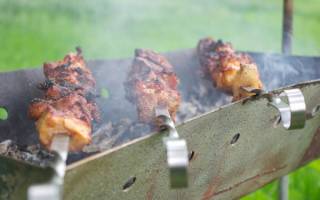 Борисовские пруды можно ли жарить шашлыки 2018